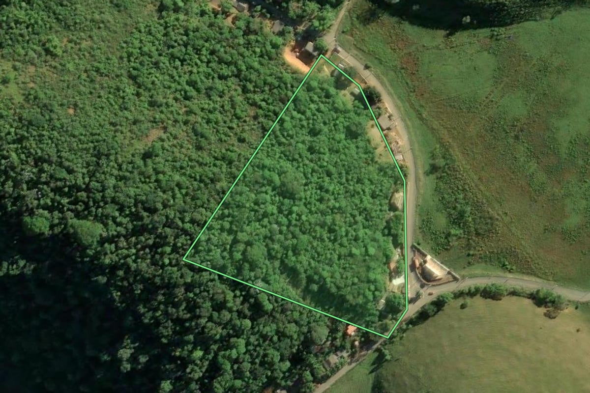 Imagem de satélite do imóvel rural em Duque de Caxias (RJ), com o contorno declarado no CAR desenhado por cima.