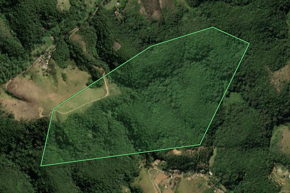 Imagem de satélite do imóvel rural em Engenheiro Paulo de Frontin (RJ), com o contorno declarado no CAR desenhado por cima.