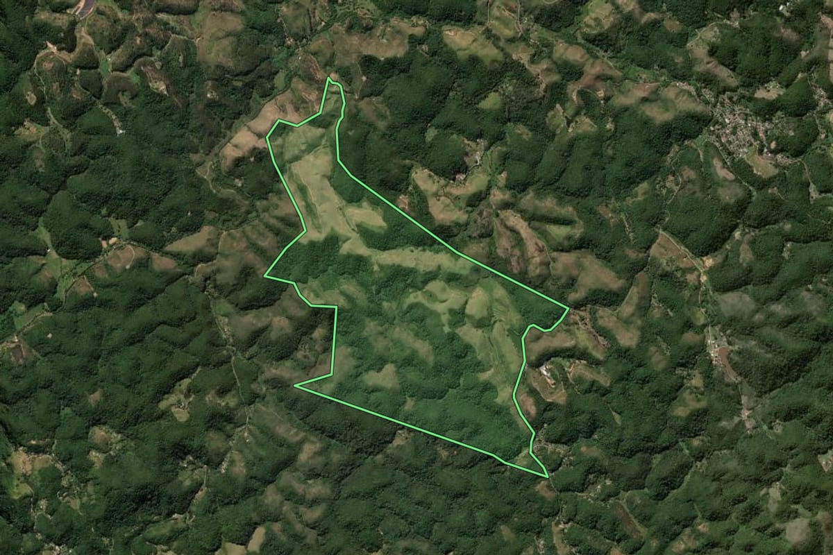 Imagem de satélite do imóvel rural em Engenheiro Paulo de Frontin (RJ), com o contorno declarado no CAR desenhado por cima.