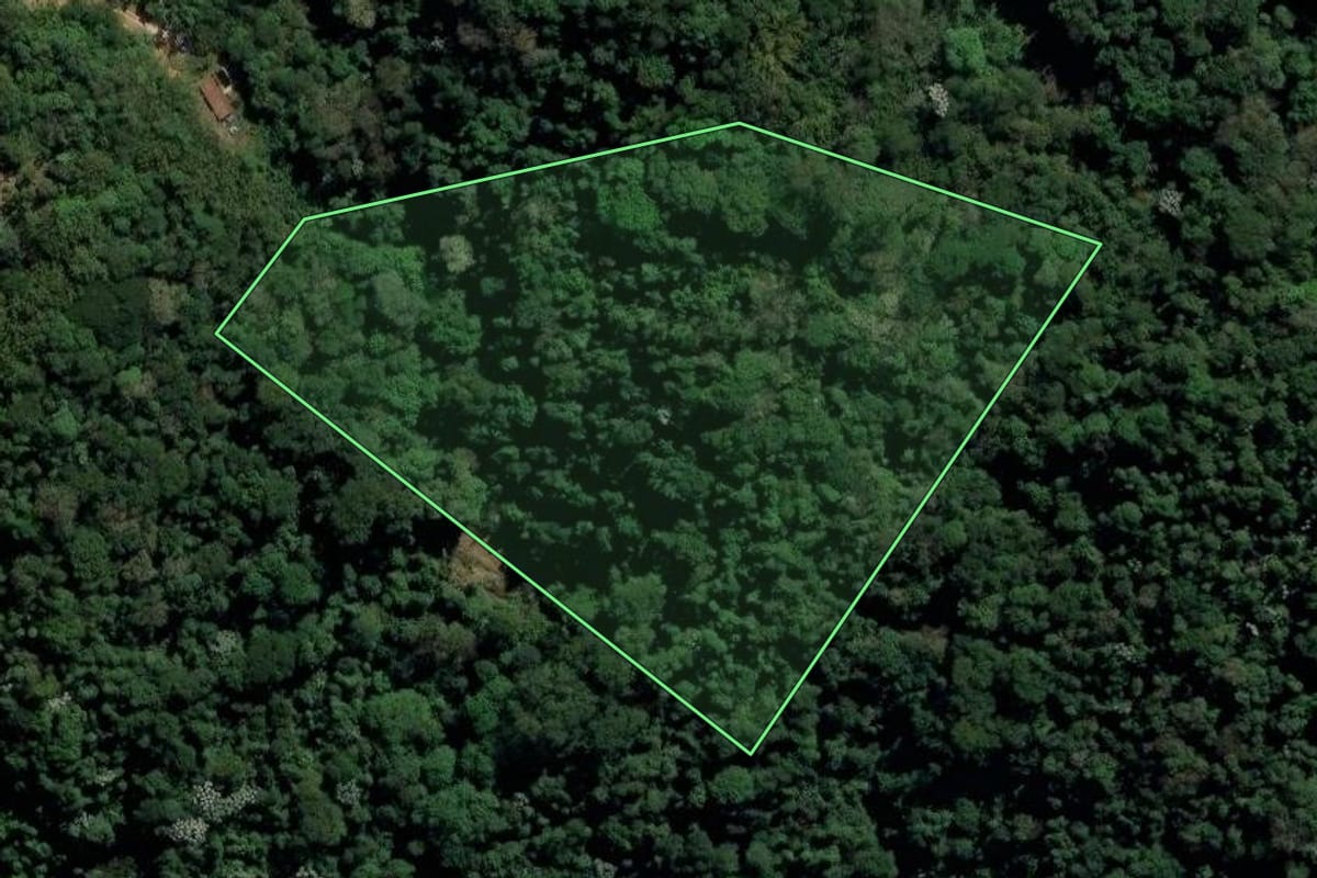 Imagem de satélite do imóvel rural em Engenheiro Paulo de Frontin (RJ), com o contorno declarado no CAR desenhado por cima.