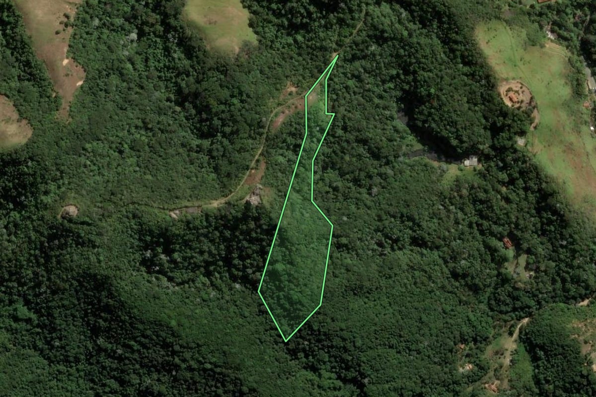 Imagem de satélite do imóvel rural em Engenheiro Paulo de Frontin (RJ), com o contorno declarado no CAR desenhado por cima.