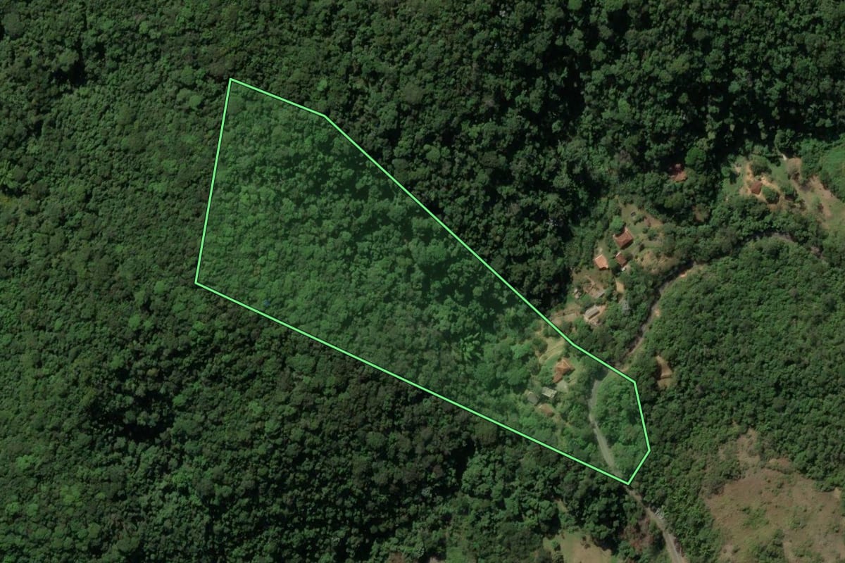 Imagem de satélite do imóvel rural em Engenheiro Paulo de Frontin (RJ), com o contorno declarado no CAR desenhado por cima.