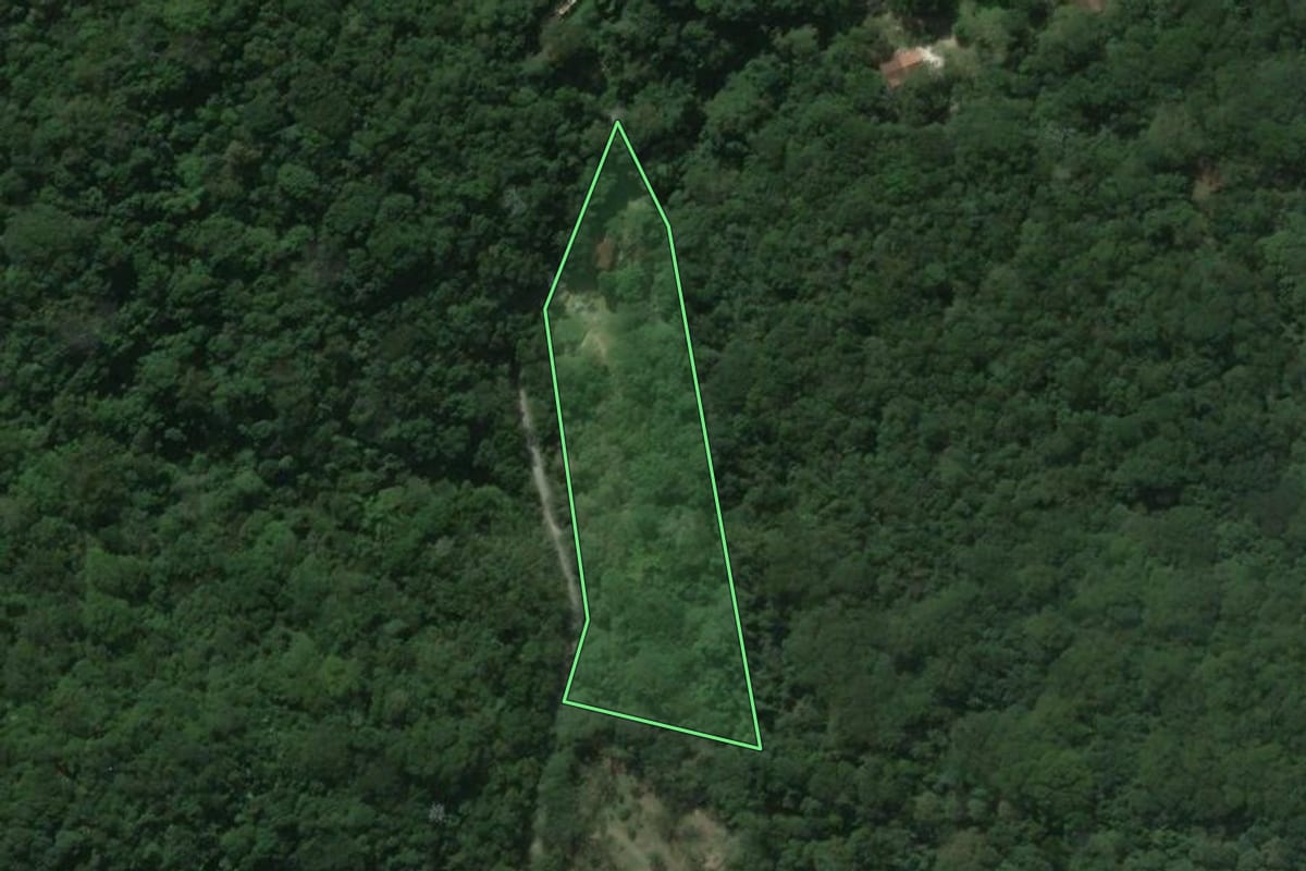 Imagem de satélite do imóvel rural em Guapimirim (RJ), com o contorno declarado no CAR desenhado por cima.