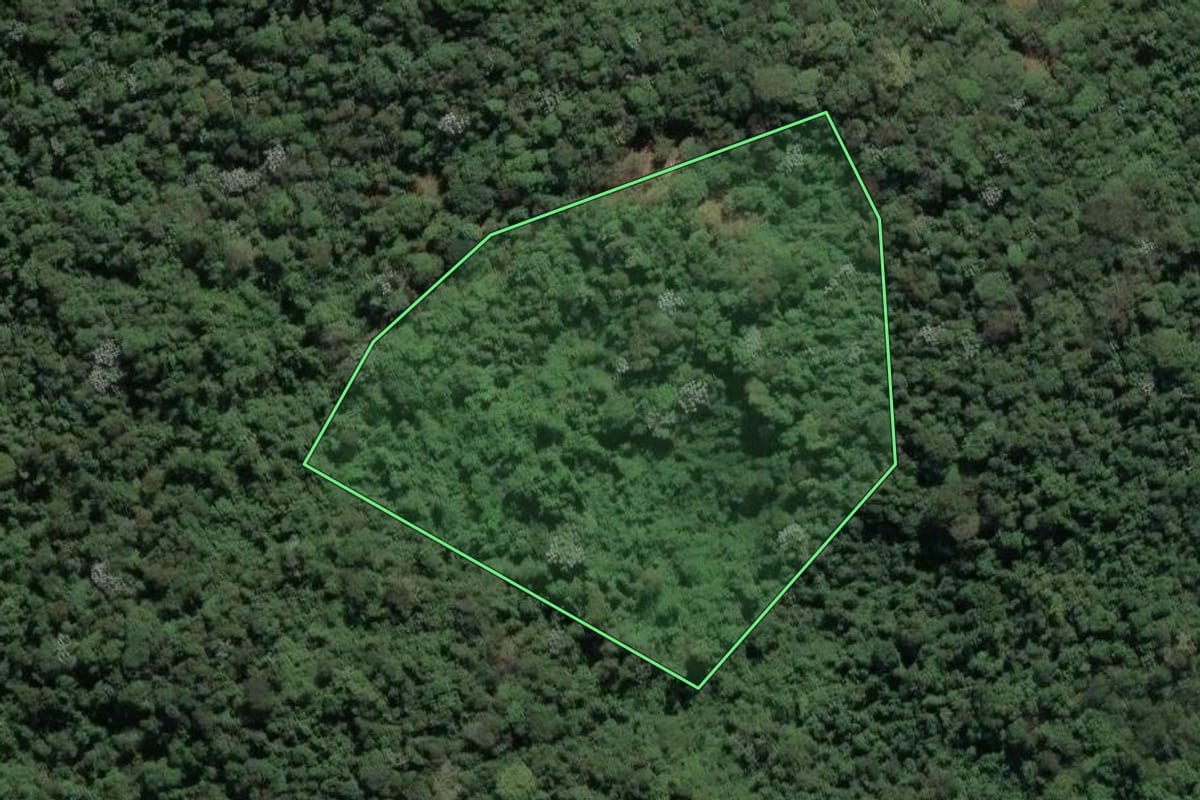 Imagem de satélite do imóvel rural em Guapimirim (RJ), com o contorno declarado no CAR desenhado por cima.