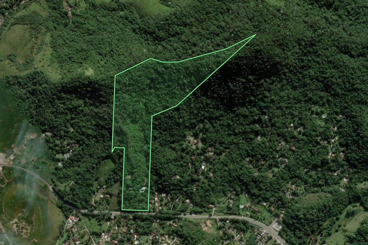 Imagem de satélite do imóvel rural em Guapimirim (RJ), com o contorno declarado no CAR desenhado por cima.
