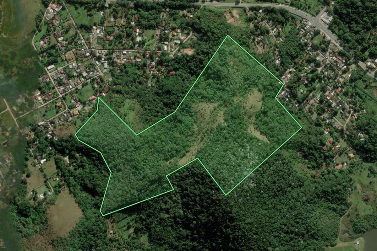 Imagem de satélite do imóvel rural em Guapimirim (RJ), com o contorno declarado no CAR desenhado por cima.