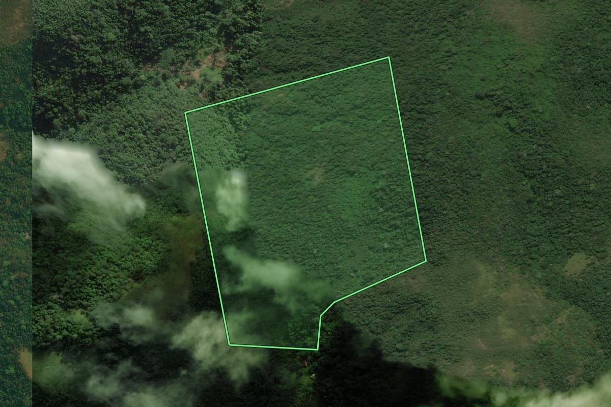 Imagem de satélite do imóvel rural em Itaboraí (RJ), com o contorno declarado no CAR desenhado por cima.