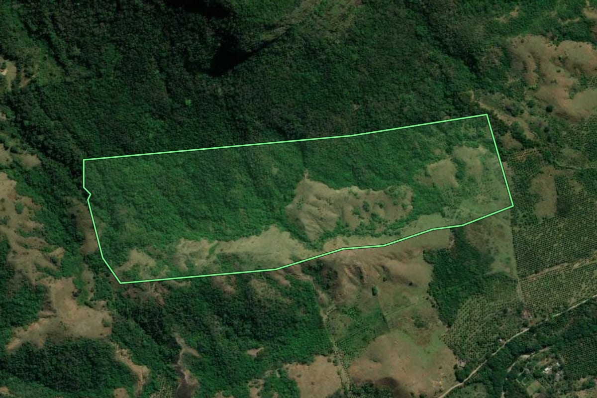 Imagem de satélite do imóvel rural em Itaguaí (RJ), com o contorno declarado no CAR desenhado por cima.