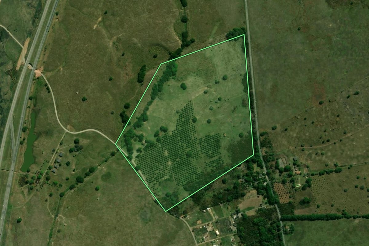 Imagem de satélite do imóvel rural em Itaguaí (RJ), com o contorno declarado no CAR desenhado por cima.
