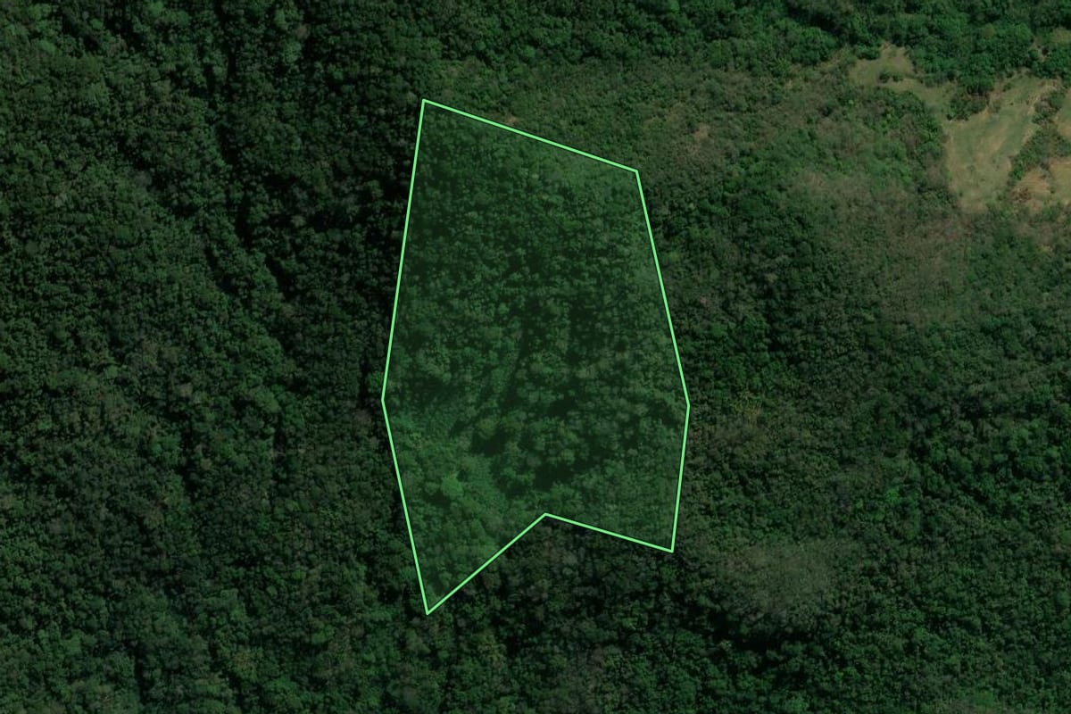 Imagem de satélite do imóvel rural em Itaguaí (RJ), com o contorno declarado no CAR desenhado por cima.