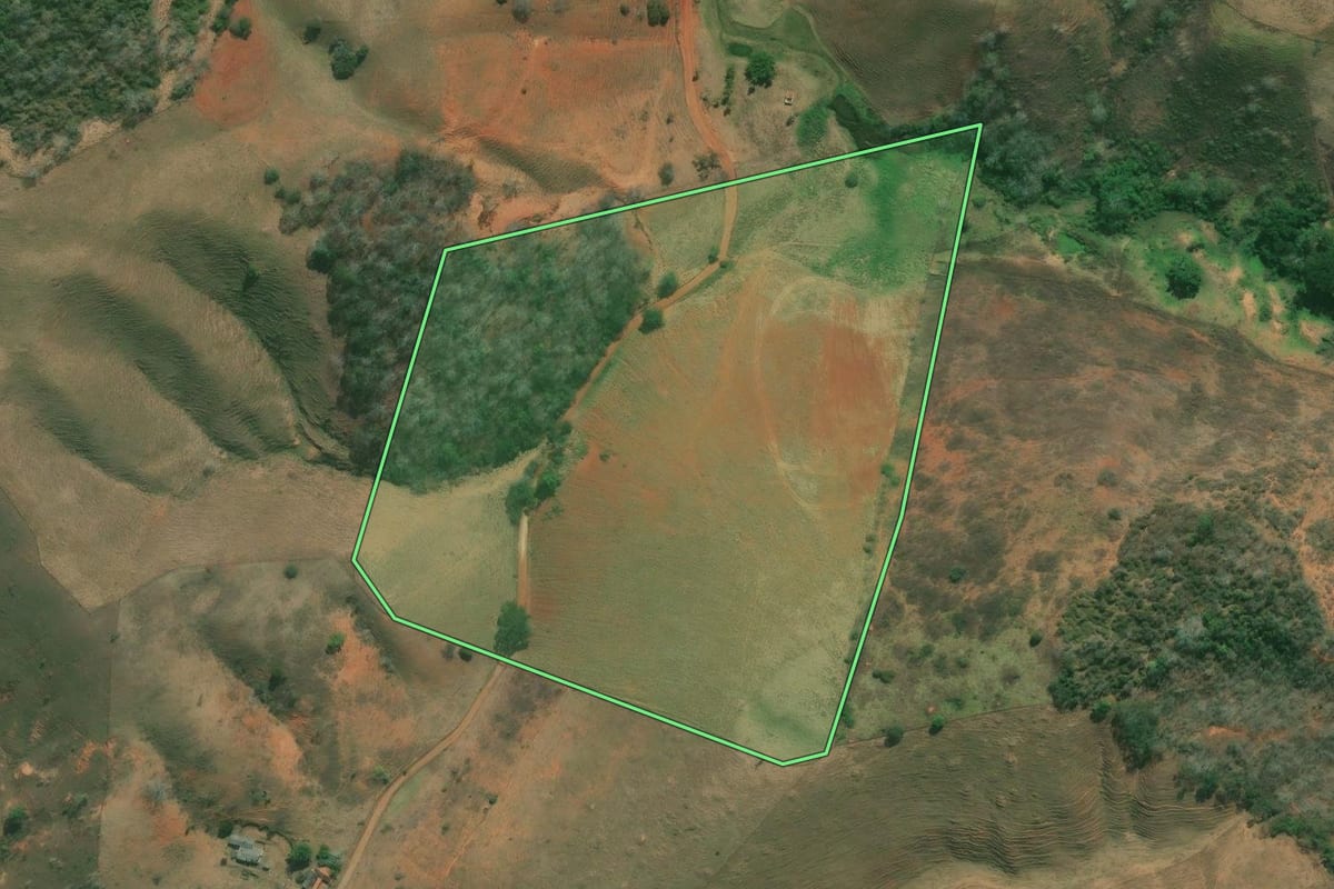 Imagem de satélite do imóvel rural em Italva (RJ), com o contorno declarado no CAR desenhado por cima.