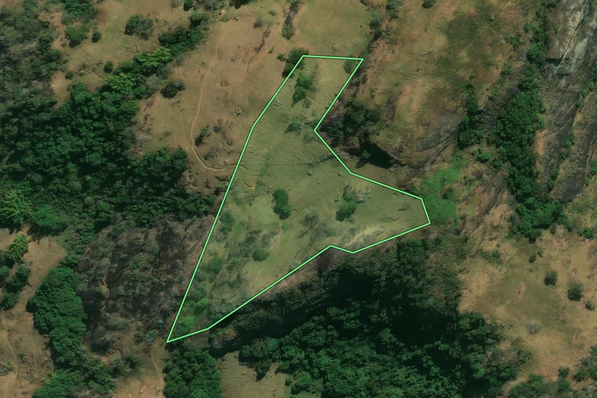 Imagem de satélite do imóvel rural em Itaperuna (RJ), com o contorno declarado no CAR desenhado por cima.