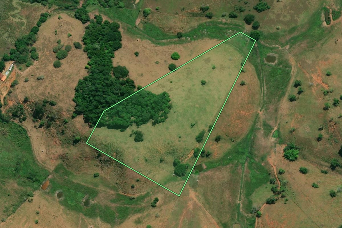 Imagem de satélite do imóvel rural em Itaperuna (RJ), com o contorno declarado no CAR desenhado por cima.