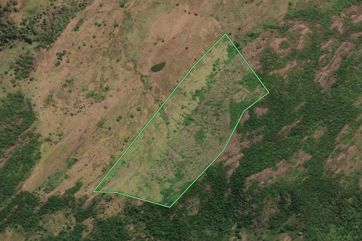Imagem de satélite do imóvel rural em Itaperuna (RJ), com o contorno declarado no CAR desenhado por cima.
