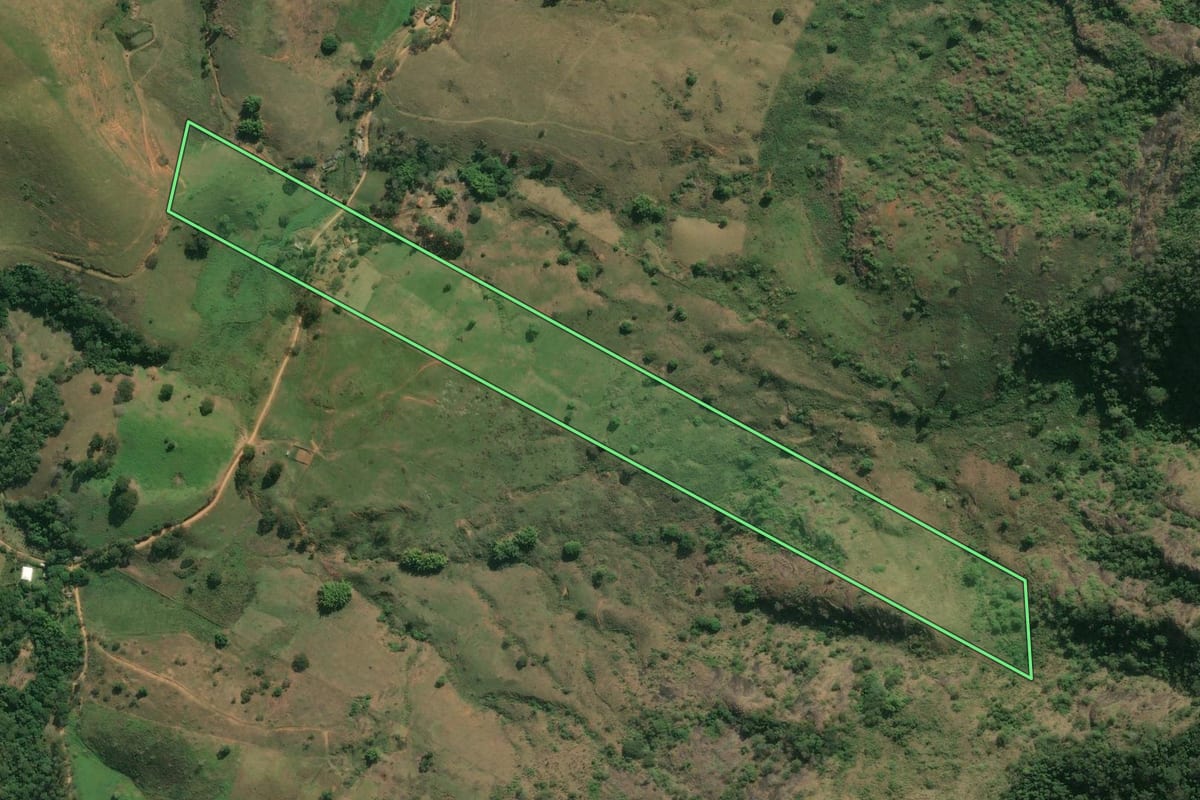 Imagem de satélite do imóvel rural em Itaperuna (RJ), com o contorno declarado no CAR desenhado por cima.