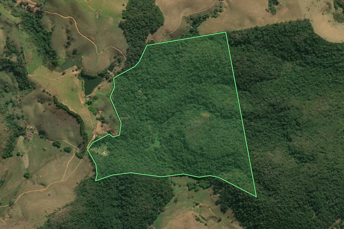 Imagem de satélite do imóvel rural em Itaperuna (RJ), com o contorno declarado no CAR desenhado por cima.