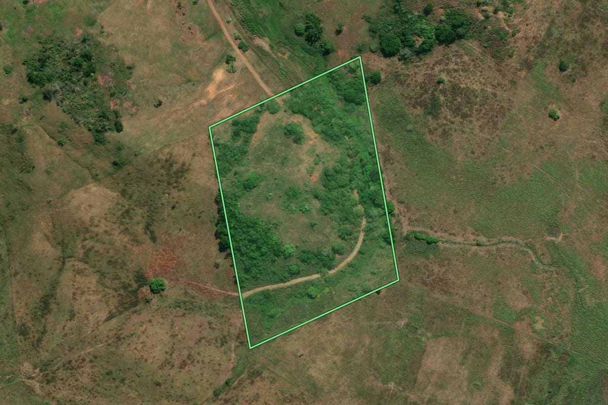 Imagem de satélite do imóvel rural em Itaperuna (RJ), com o contorno declarado no CAR desenhado por cima.