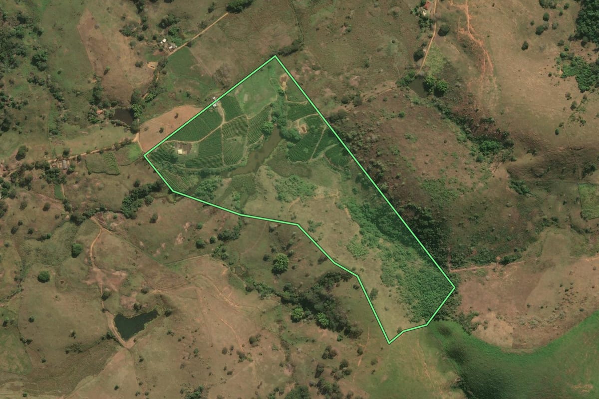Imagem de satélite do imóvel rural em Itaperuna (RJ), com o contorno declarado no CAR desenhado por cima.