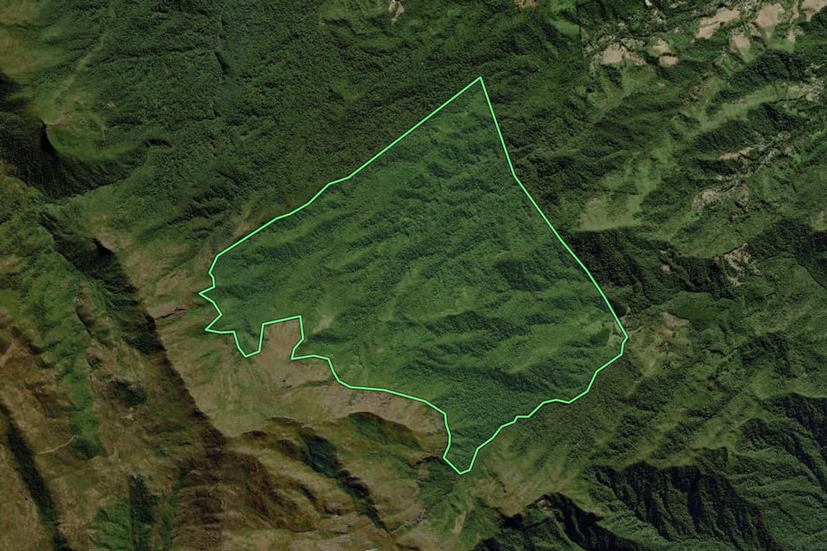 Imagem de satélite do imóvel rural em Itatiaia (RJ), com o contorno declarado no CAR desenhado por cima.