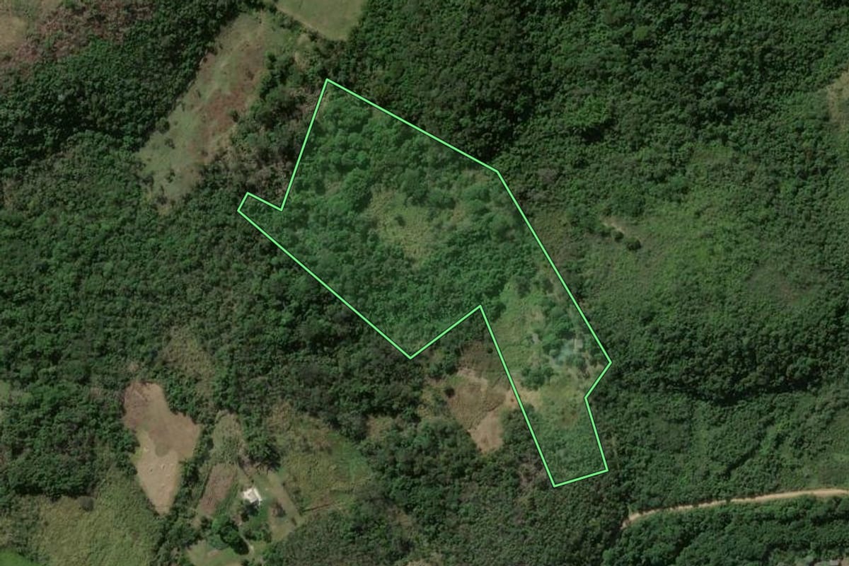 Imagem de satélite do imóvel rural em Japeri (RJ), com o contorno declarado no CAR desenhado por cima.