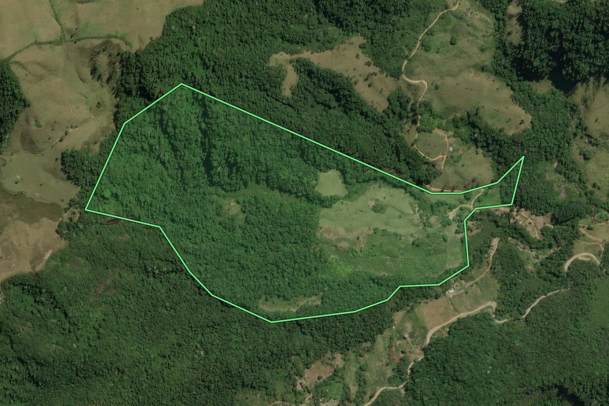 Imagem de satélite do imóvel rural em Macaé (RJ), com o contorno declarado no CAR desenhado por cima.