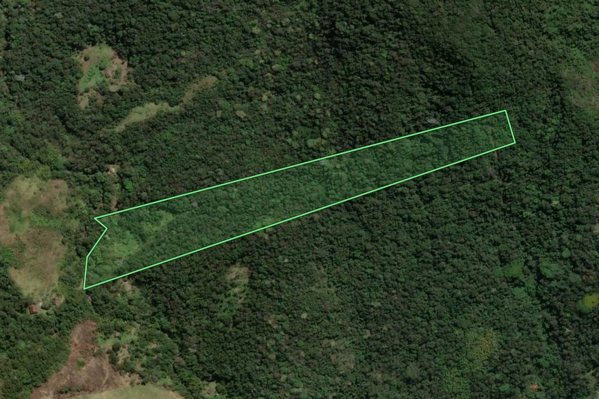 Imagem de satélite do imóvel rural em Macaé (RJ), com o contorno declarado no CAR desenhado por cima.