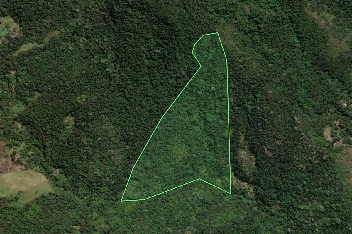 Imagem de satélite do imóvel rural em Macaé (RJ), com o contorno declarado no CAR desenhado por cima.