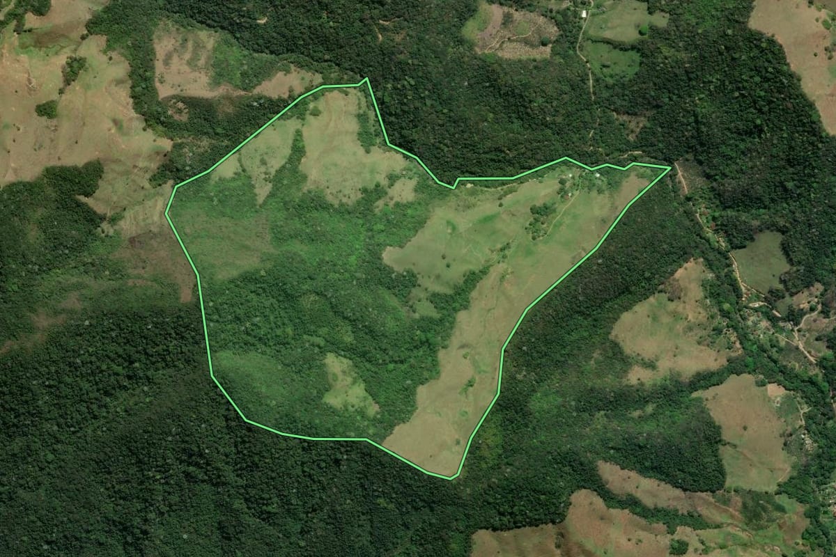 Imagem de satélite do imóvel rural em Macaé (RJ), com o contorno declarado no CAR desenhado por cima.