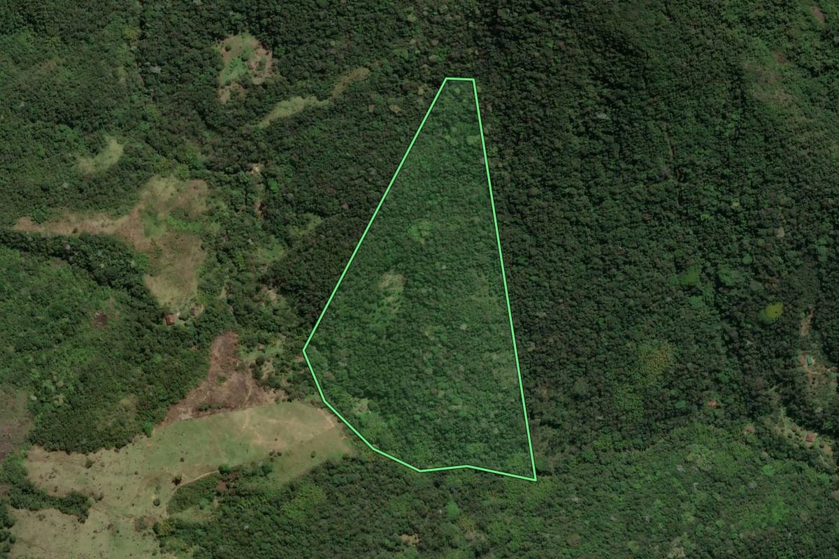 Imagem de satélite do imóvel rural em Macaé (RJ), com o contorno declarado no CAR desenhado por cima.