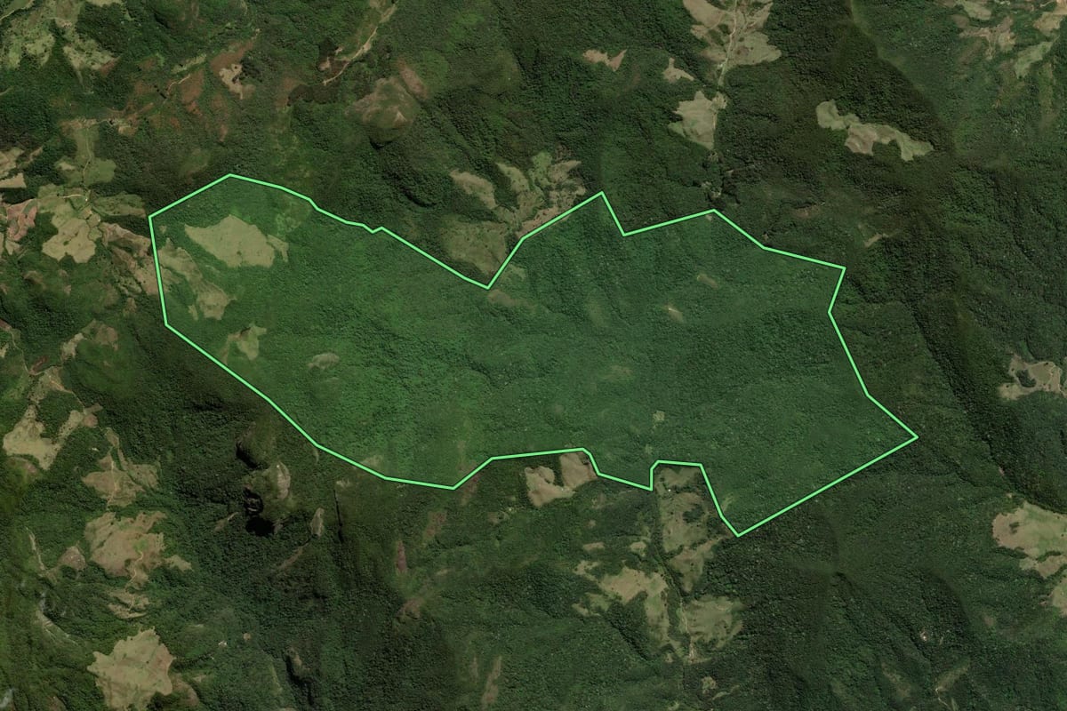Imagem de satélite do imóvel rural em Macaé (RJ), com o contorno declarado no CAR desenhado por cima.