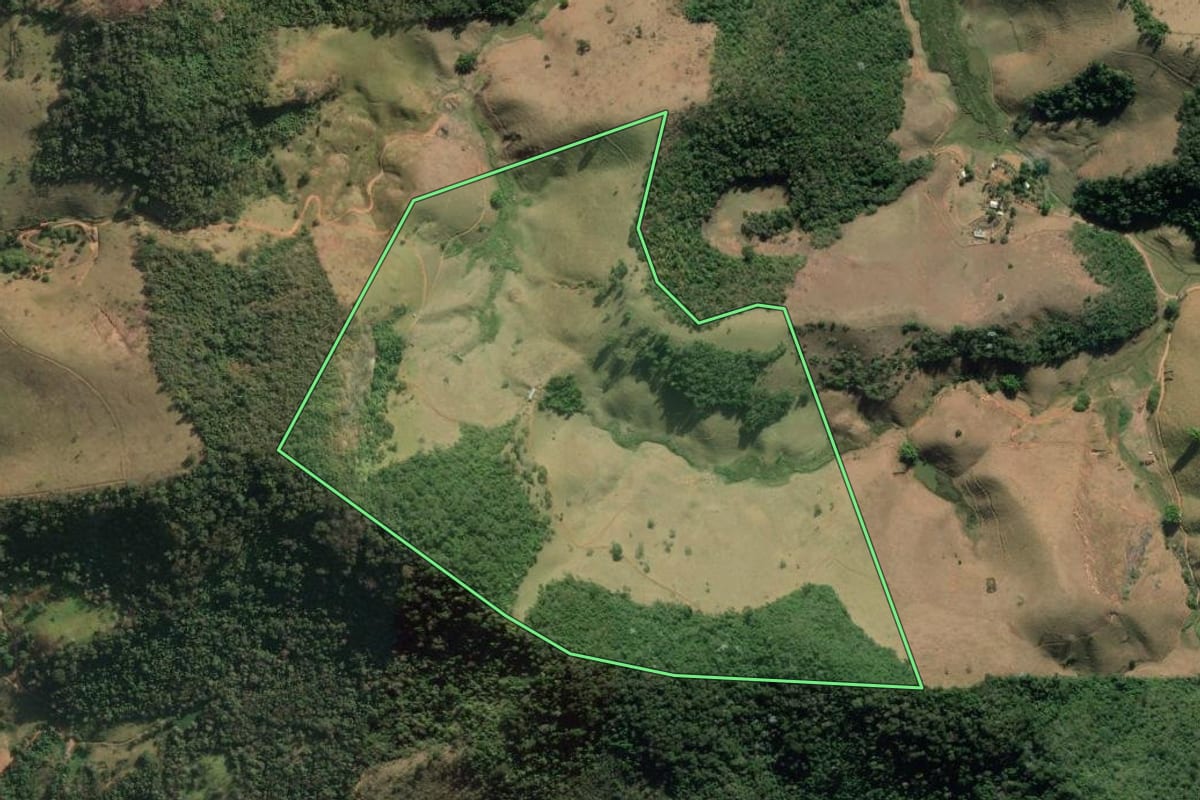 Imagem de satélite do imóvel rural em Macuco (RJ), com o contorno declarado no CAR desenhado por cima.
