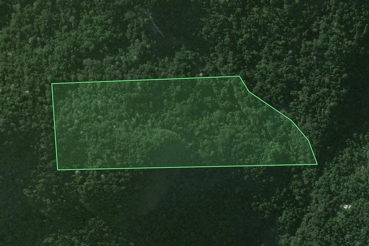 Imagem de satélite do imóvel rural em Magé (RJ), com o contorno declarado no CAR desenhado por cima.