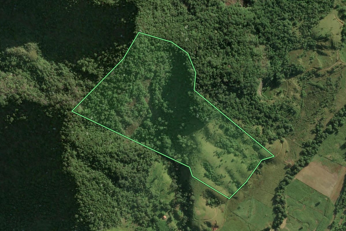Imagem de satélite do imóvel rural em Magé (RJ), com o contorno declarado no CAR desenhado por cima.