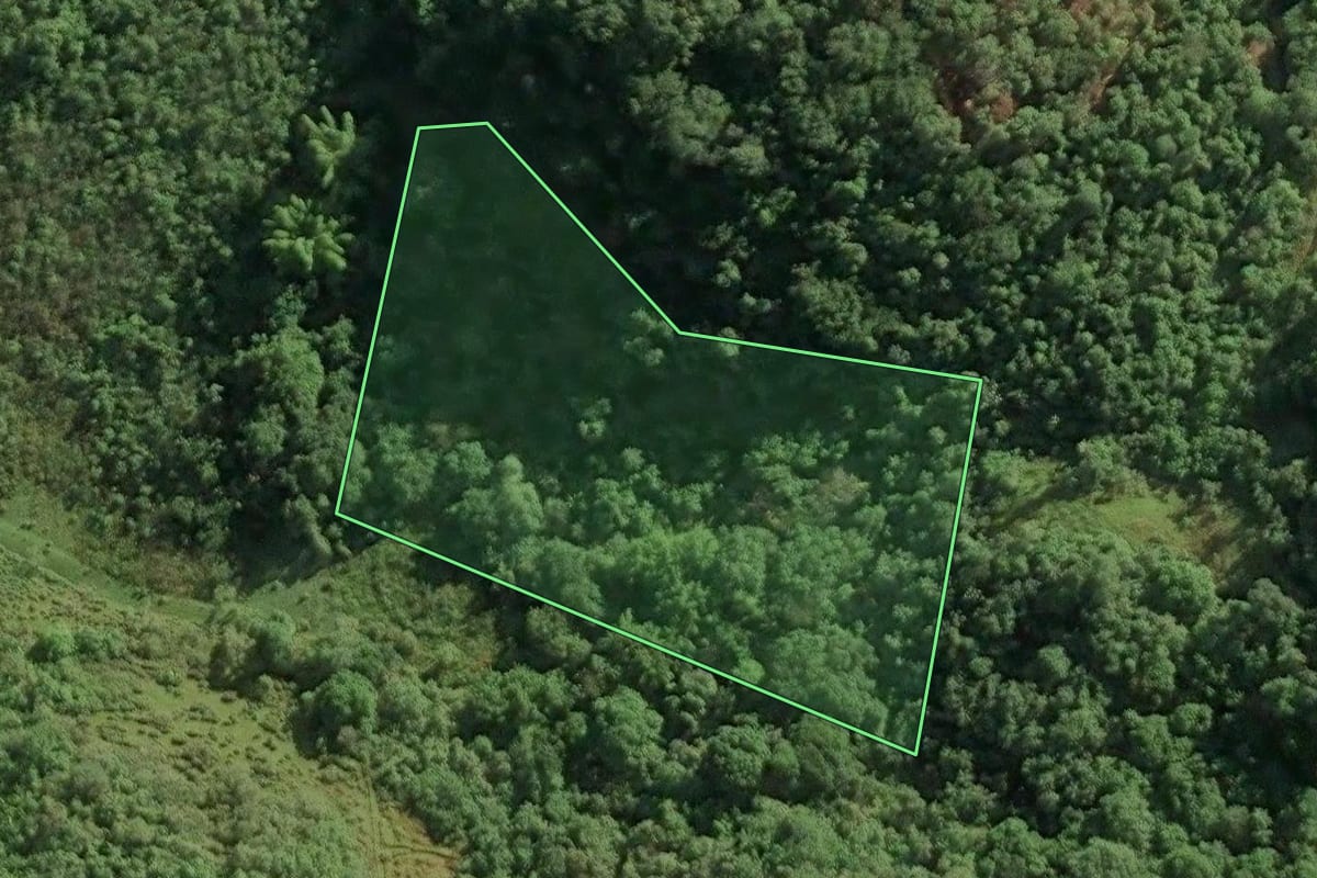 Imagem de satélite do imóvel rural em Magé (RJ), com o contorno declarado no CAR desenhado por cima.