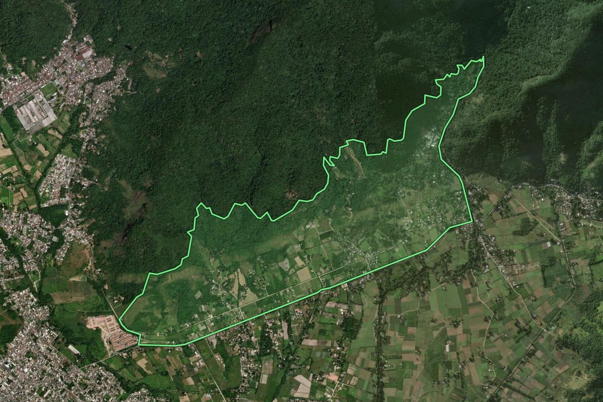 Imagem de satélite do imóvel rural em Magé (RJ), com o contorno declarado no CAR desenhado por cima.