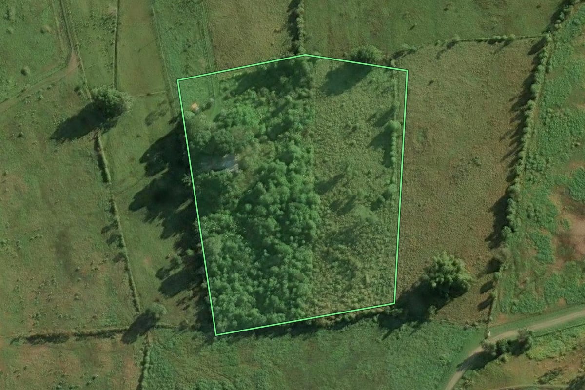 Imagem de satélite do imóvel rural em Magé (RJ), com o contorno declarado no CAR desenhado por cima.