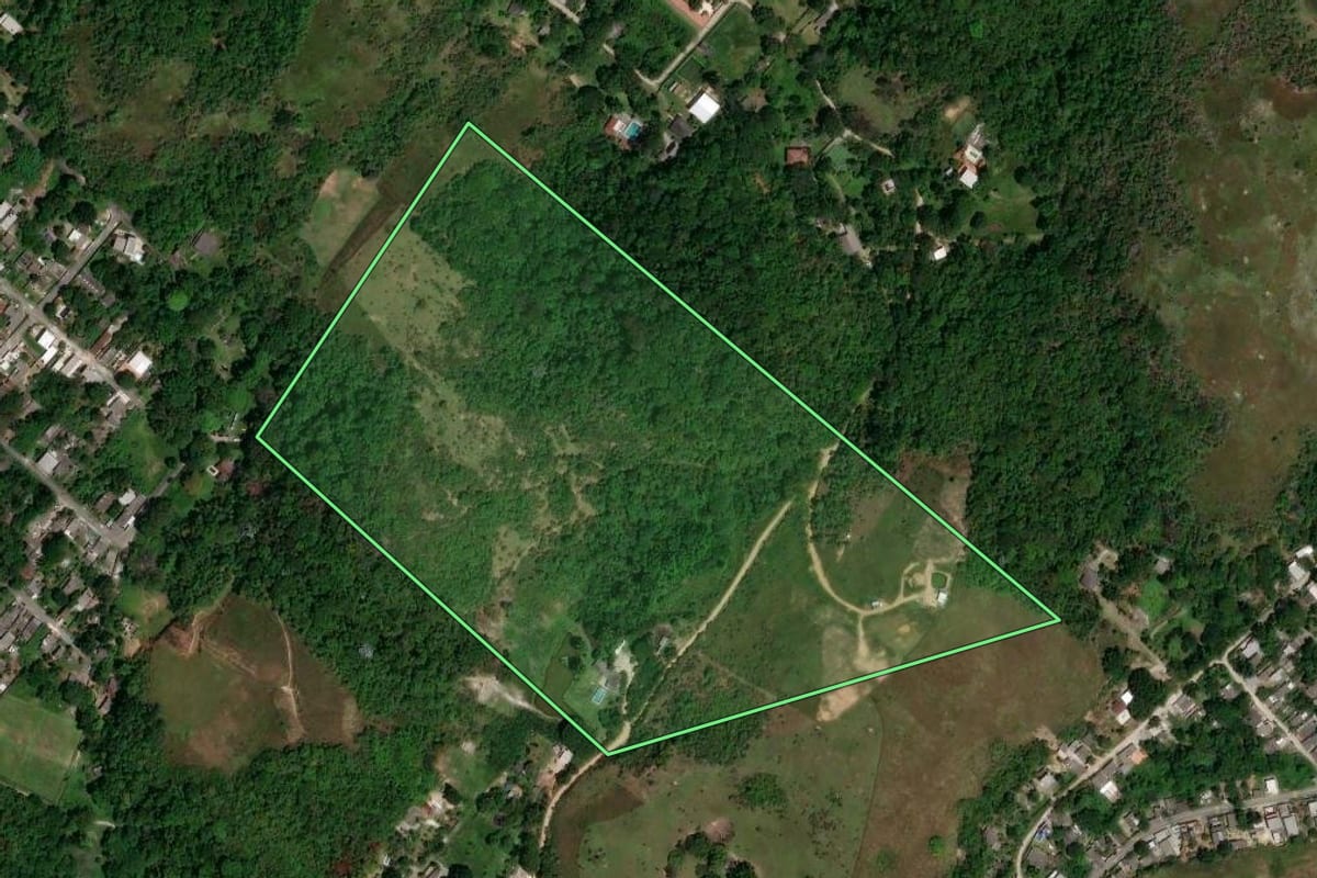 Imagem de satélite do imóvel rural em Magé (RJ), com o contorno declarado no CAR desenhado por cima.