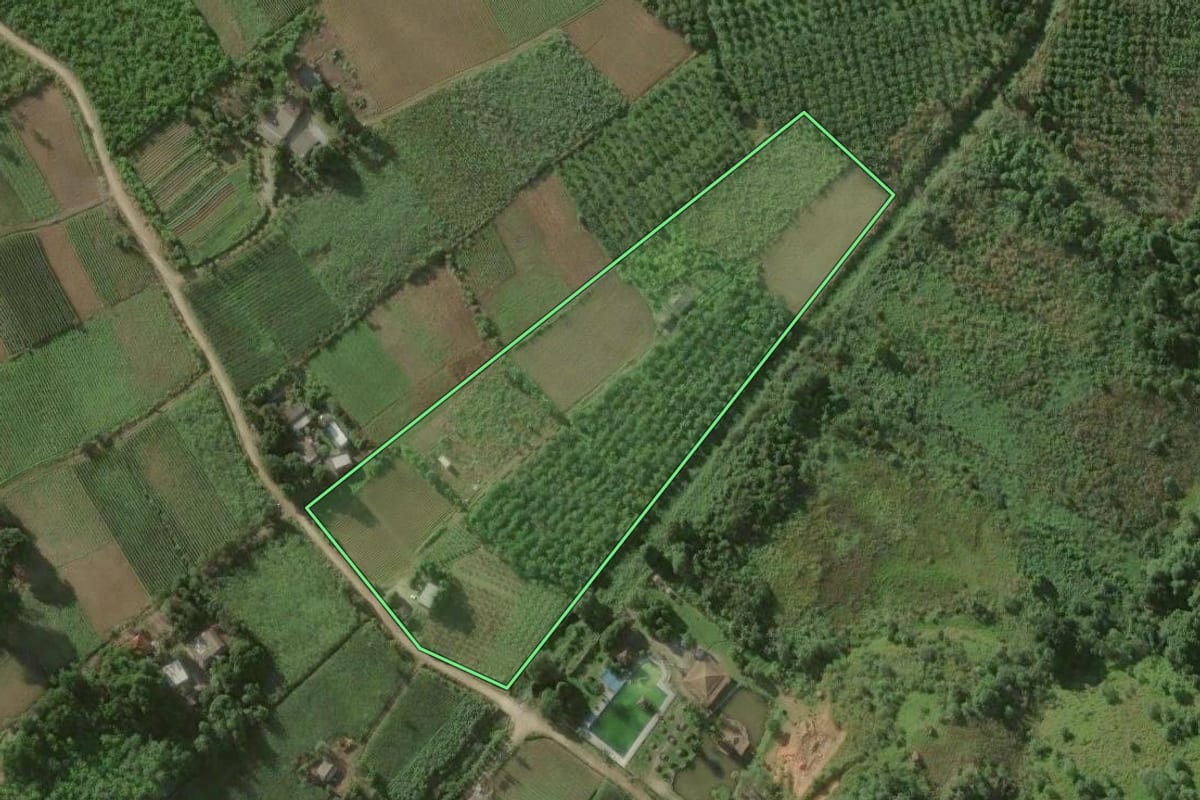 Imagem de satélite do imóvel rural em Magé (RJ), com o contorno declarado no CAR desenhado por cima.