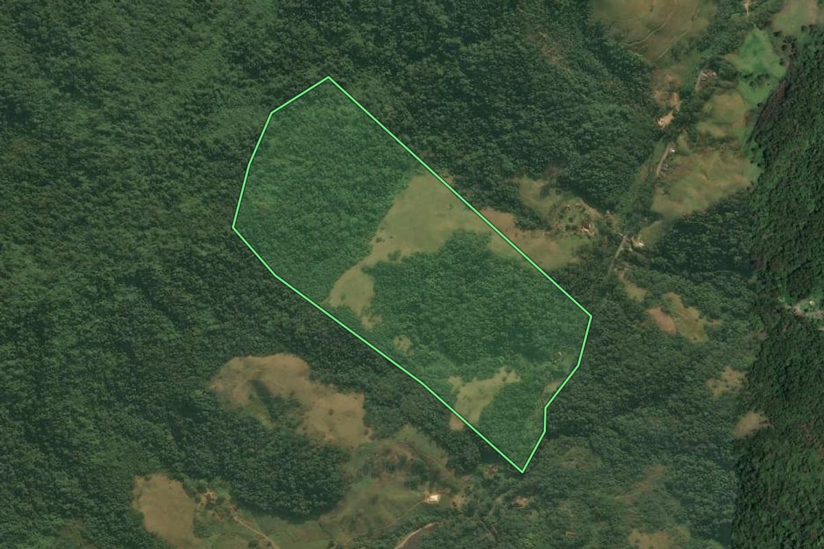 Imagem de satélite do imóvel rural em Mangaratiba (RJ), com o contorno declarado no CAR desenhado por cima.