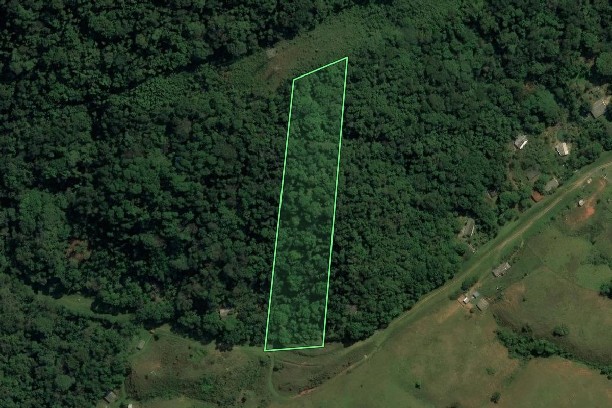 Imagem de satélite do imóvel rural em Mangaratiba (RJ), com o contorno declarado no CAR desenhado por cima.