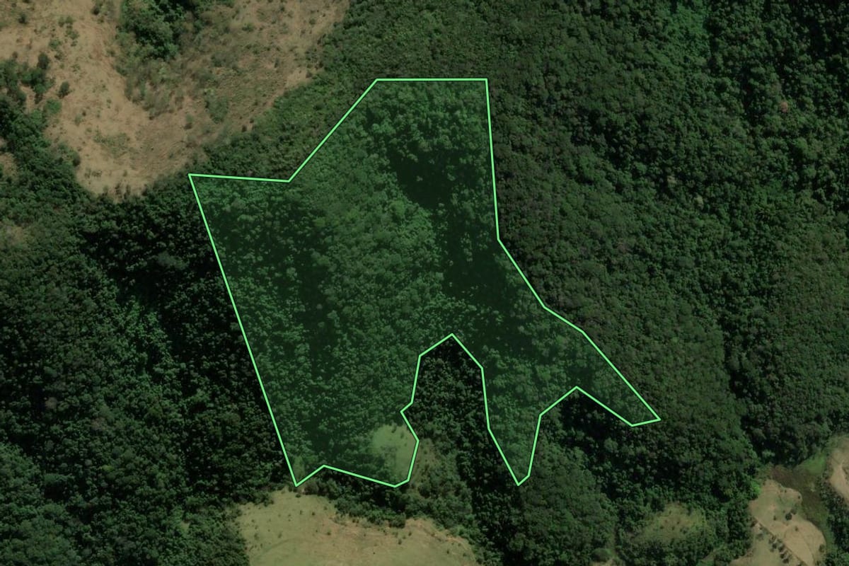 Imagem de satélite do imóvel rural em Mendes (RJ), com o contorno declarado no CAR desenhado por cima.
