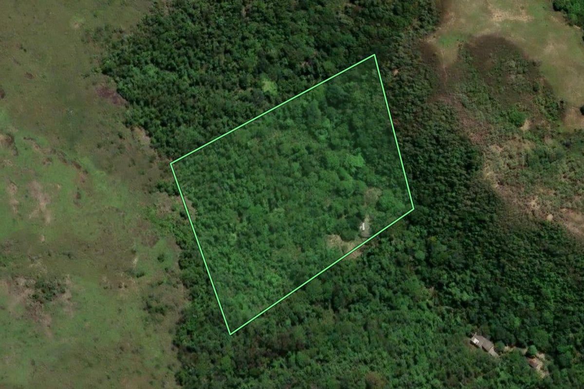 Imagem de satélite do imóvel rural em Mesquita (RJ), com o contorno declarado no CAR desenhado por cima.