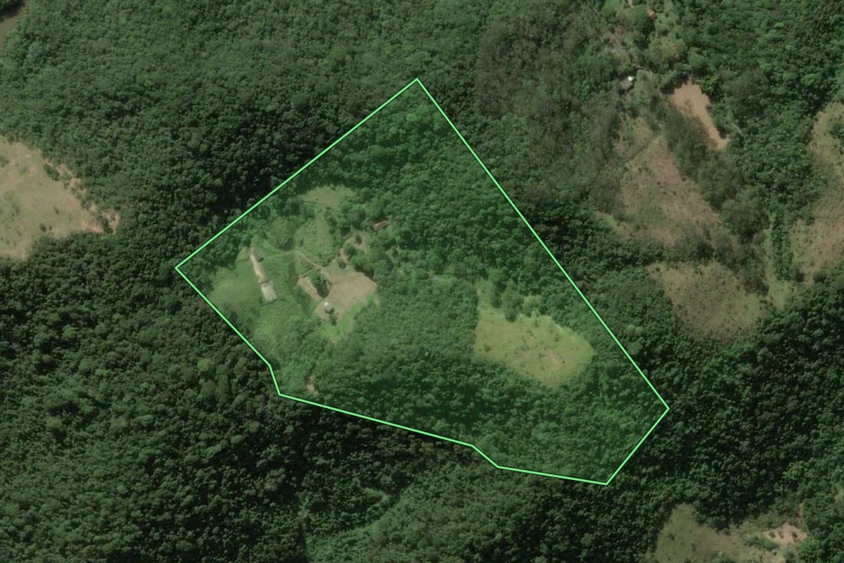 Imagem de satélite do imóvel rural em Miguel Pereira (RJ), com o contorno declarado no CAR desenhado por cima.
