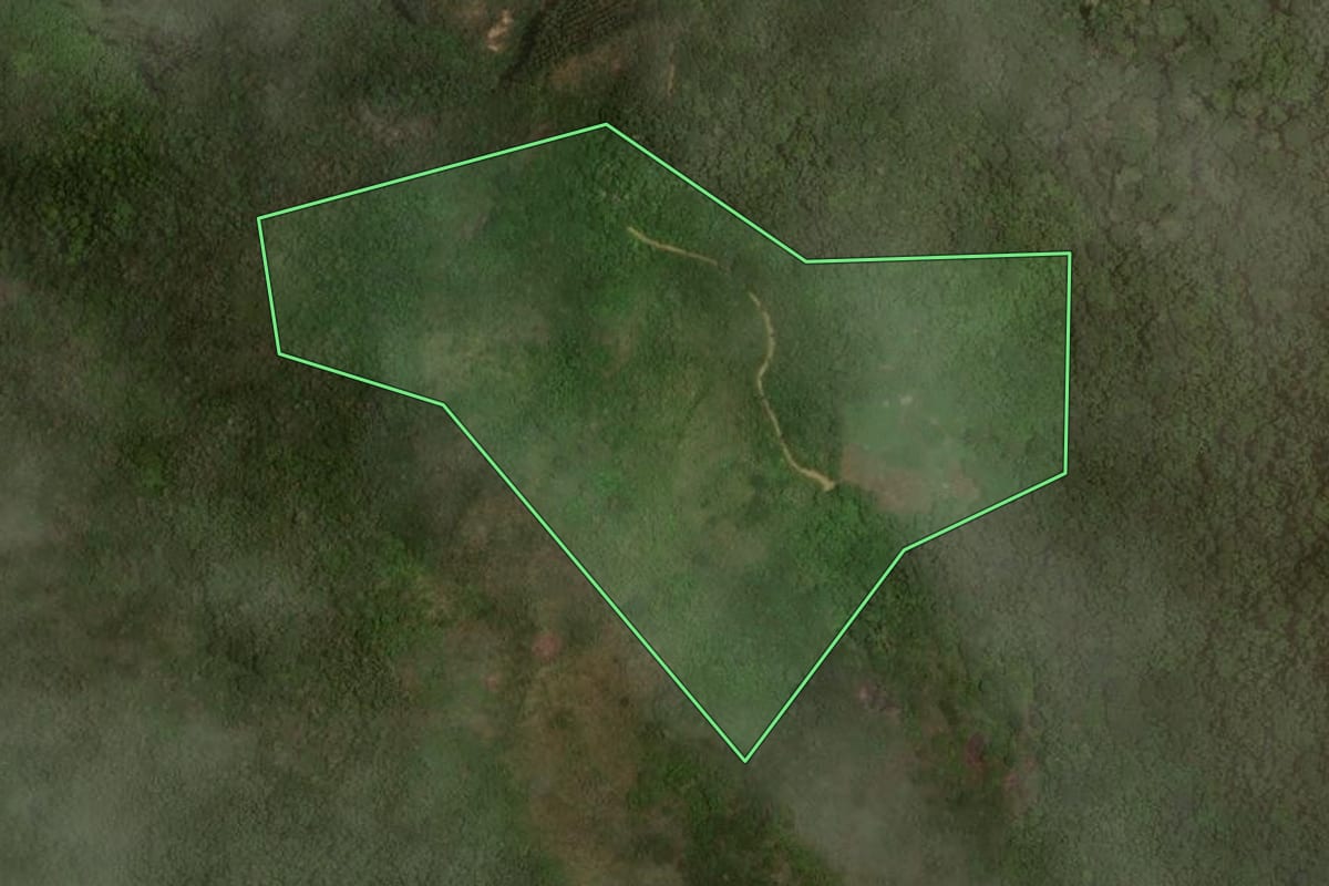 Imagem de satélite do imóvel rural em Miguel Pereira (RJ), com o contorno declarado no CAR desenhado por cima.