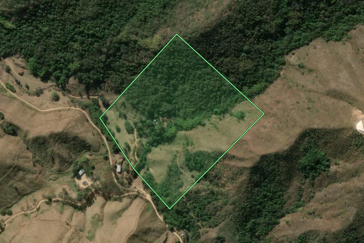 Imagem de satélite do imóvel rural em Miguel Pereira (RJ), com o contorno declarado no CAR desenhado por cima.