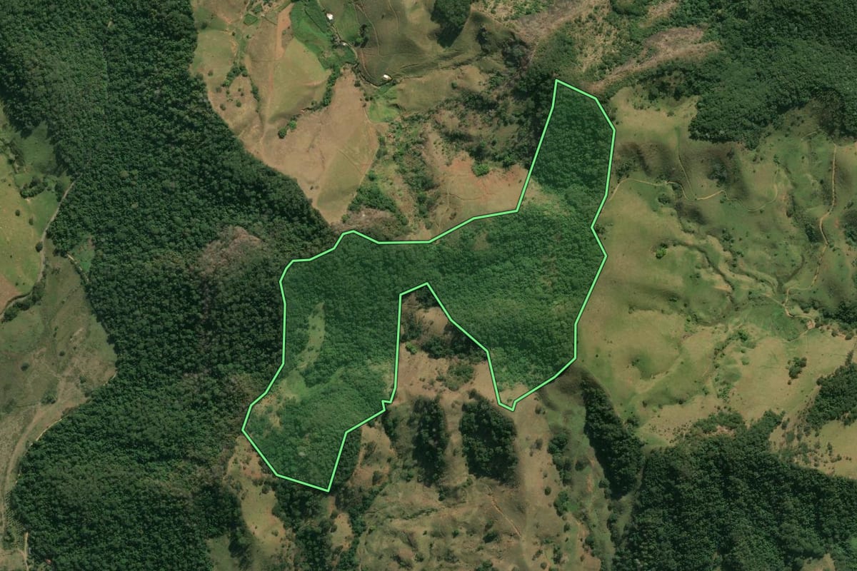 Imagem de satélite do imóvel rural em Natividade (RJ), com o contorno declarado no CAR desenhado por cima.