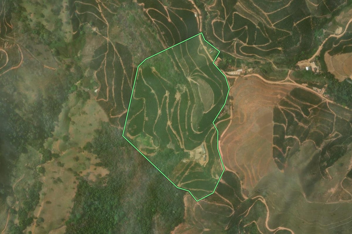 Imagem de satélite do imóvel rural em Natividade (RJ), com o contorno declarado no CAR desenhado por cima.