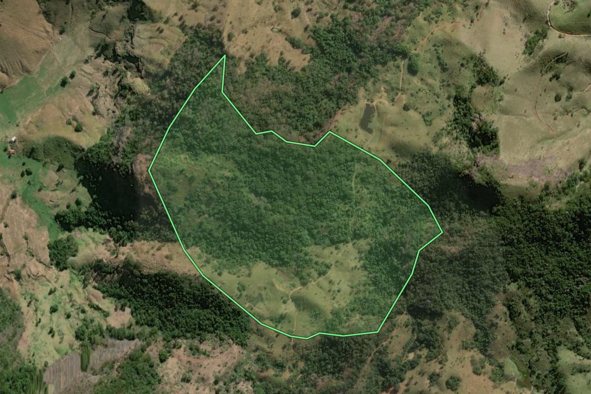 Imagem de satélite do imóvel rural em Natividade (RJ), com o contorno declarado no CAR desenhado por cima.