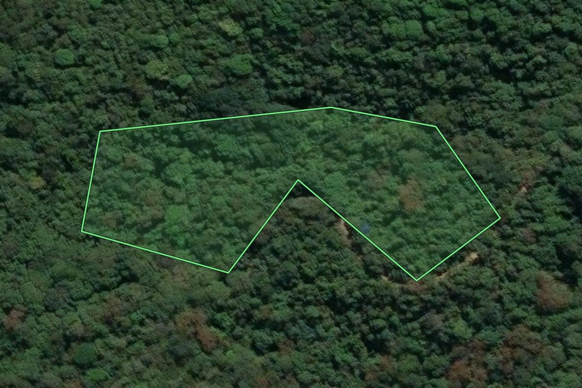 Imagem de satélite do imóvel rural em Niterói (RJ), com o contorno declarado no CAR desenhado por cima.