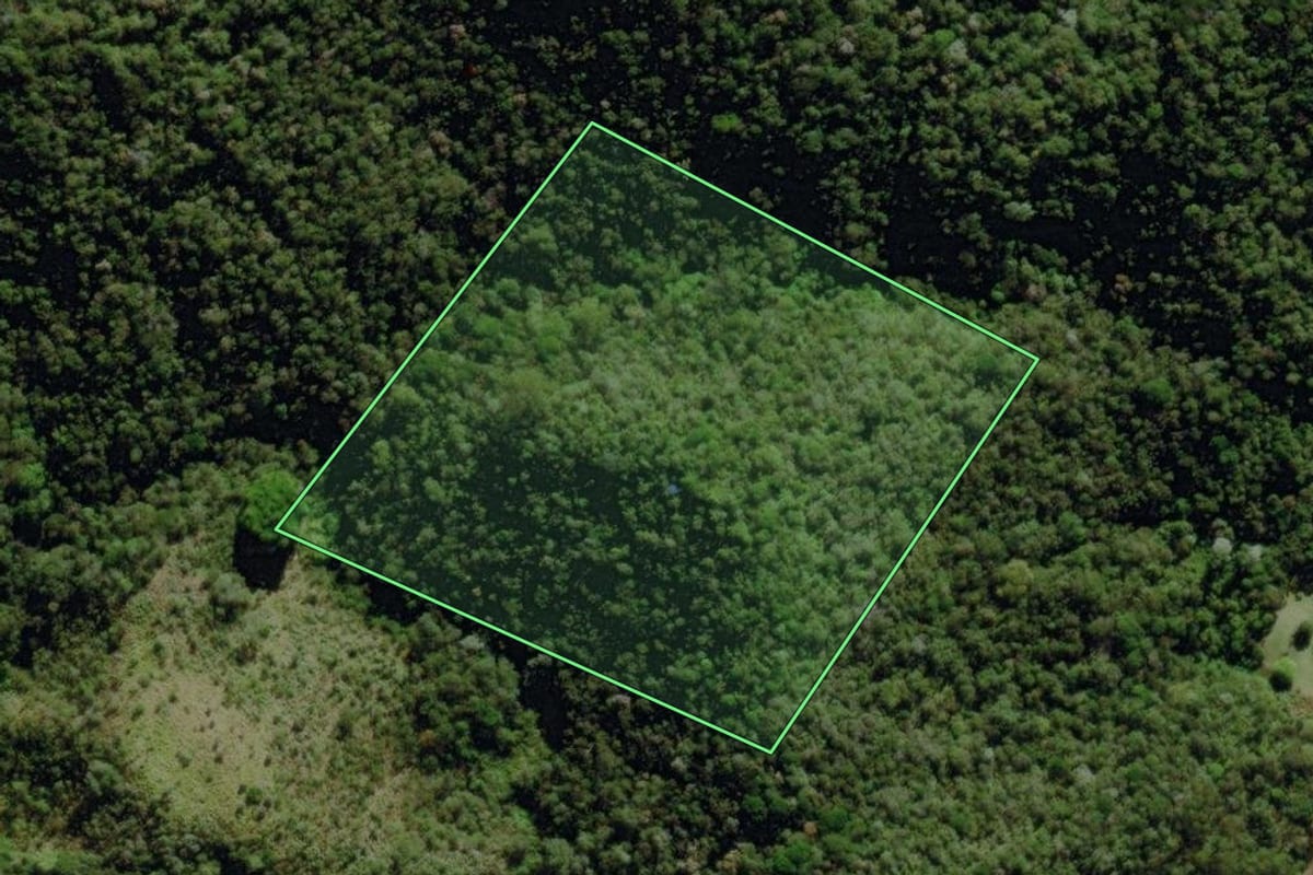 Imagem de satélite do imóvel rural em Nova Friburgo (RJ), com o contorno declarado no CAR desenhado por cima.